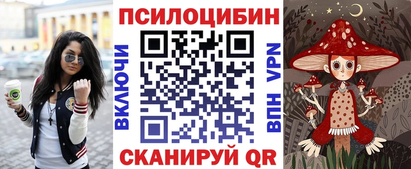 Псилоцибиновые грибы мицелий Купить закладки Грязовец